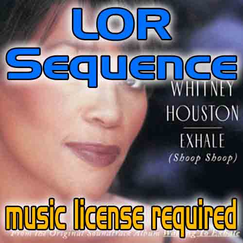 Light-O-Rama Sequence - Do You Hear What I Hear - Whitney Houston Best Buy